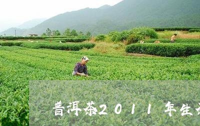 普洱茶2011年生茶/2023080308369