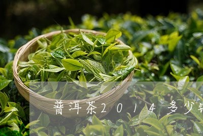 普洱茶2014多少钱/2023100749502