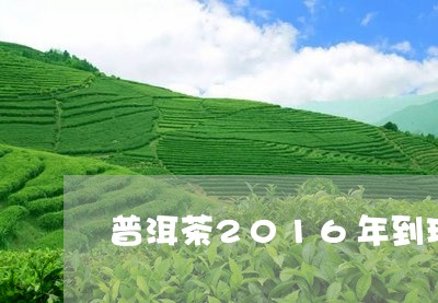 普洱茶2016年到现在还能喝吗/2023060275916