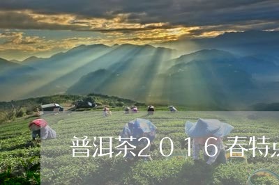 普洱茶2016春特点/2023062884837