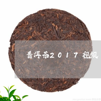 普洱茶2017视频/2023070971601