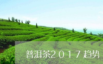 普洱茶2017趋势/2023070914817