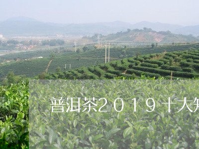 普洱茶2019十大知名品牌排名/2023060289681