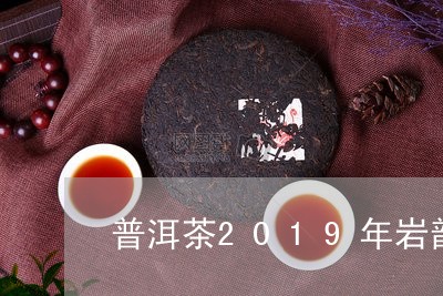 普洱茶2019年岩韵/2023062490726