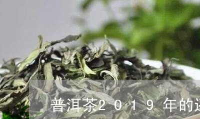 普洱茶2019年的还能喝吗/2023121658471