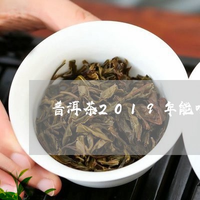 普洱茶2019年能喝吗/2023122092817