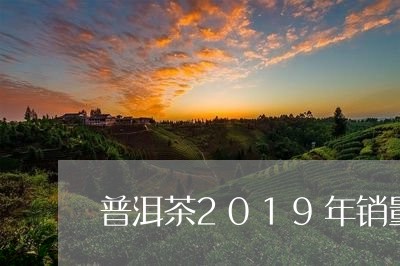 普洱茶2019年销量/2023062416341