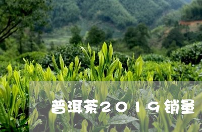 普洱茶2019销量/2023091453369