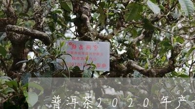 普洱茶2020年产量/2023092859625