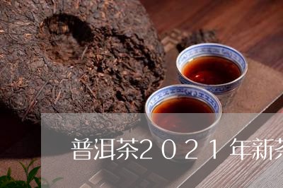 普洱茶2021年新茶怎么样/2023052974257