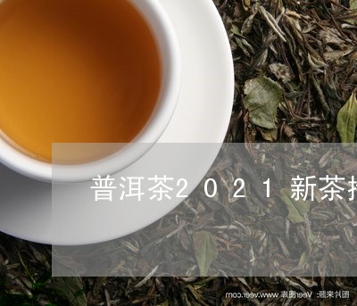 普洱茶2021新茶推荐/2023112804815