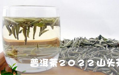 普洱茶2022山头茶/2023120675037