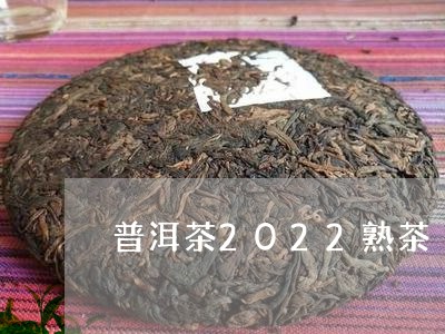 普洱茶2022熟茶/2023091536048