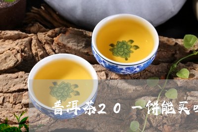 普洱茶20一饼能买吗/2023092722706