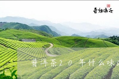 普洱茶20年什么味道/2023101706160