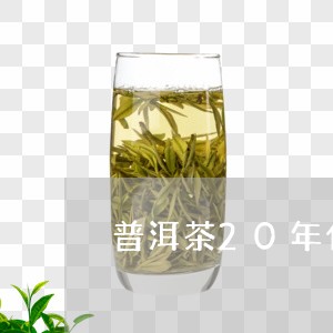 普洱茶20年什么工艺/2023100629461