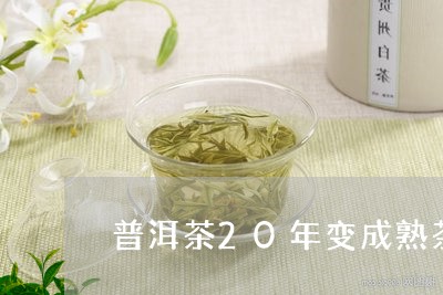 普洱茶20年变成熟茶/2023080344717