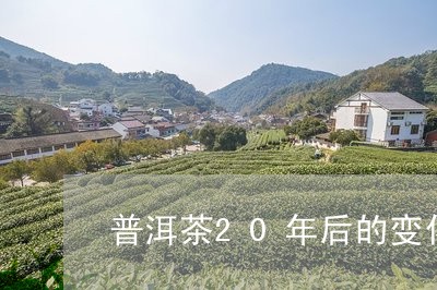 普洱茶20年后的变化/2023092681897