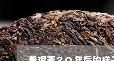 普洱茶20年后的样子/2023092889304