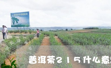 普洱茶215什么意思/2023062905261