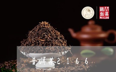 普洱茶2166/2023101605047