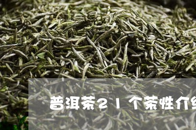 普洱茶21个茶性介绍/2023100729581