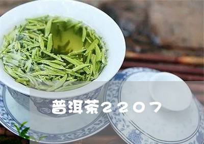 普洱茶2207/2023120304049