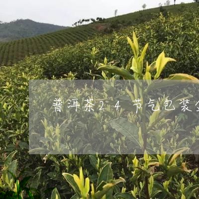 普洱茶24节气包装盒/2023080700404