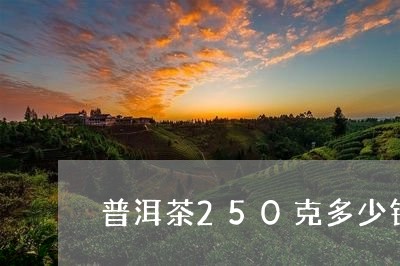 普洱茶250克多少钱/2023073019593