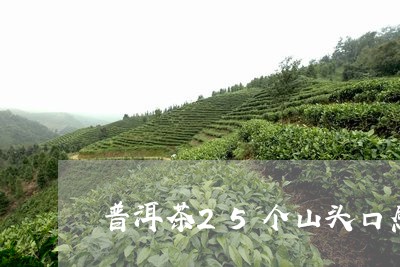 普洱茶25个山头口感/2023073159282