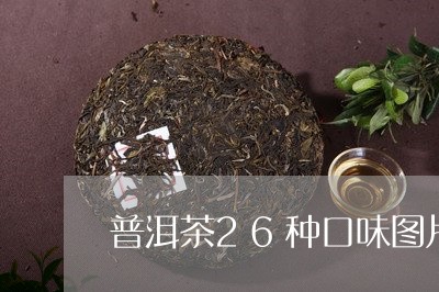 普洱茶26种口味图片/2023121672617