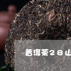 普洱茶28山头茶套装/2023062894358