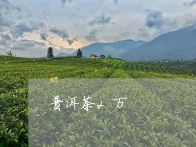 普洱茶2万/2023081880534