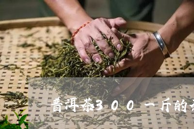 普洱茶300一斤的茶/2023073132603