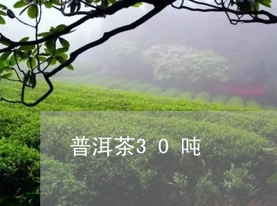 普洱茶30吨/2023042670052