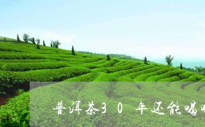 普洱茶30年还能喝吗/2023062357369