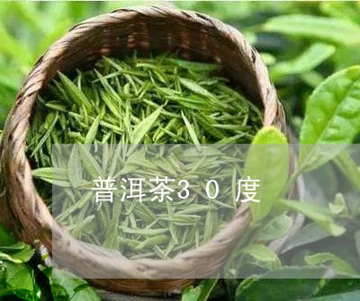 普洱茶30度/2023042719500