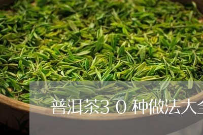 普洱茶30种做法大全/2023062544959