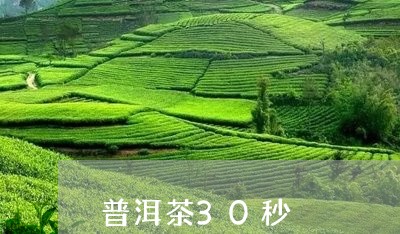 普洱茶30秒/2023042761960