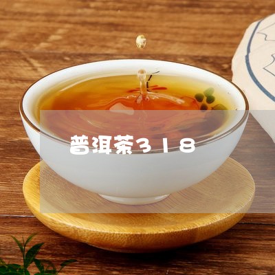 普洱茶318/2023042859011