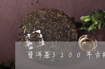 普洱茶3200年古树/2023100718592