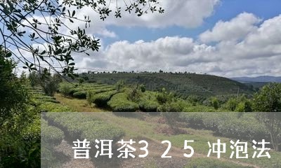 普洱茶325冲泡法/2023112431624