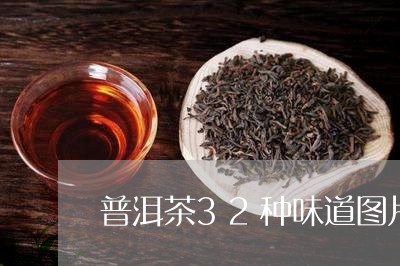 普洱茶32种味道图片/2023062515040