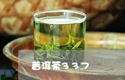 普洱茶337/2023042815506