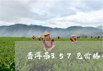 普洱茶357克价格多少钱一克/2023053090470