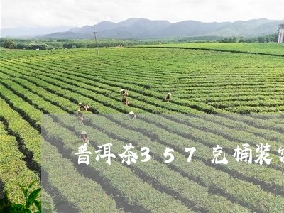 普洱茶357克桶装密封袋/2023082511614