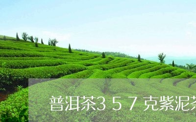 普洱茶357克紫泥茶罐/2023120707479