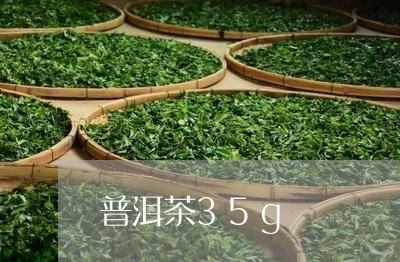 普洱茶35g/2023081804259