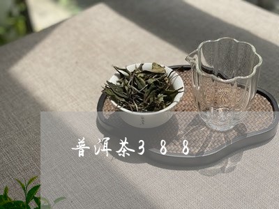 普洱茶388/2023121678513