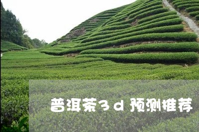 普洱茶3d预测推荐/2023091502704